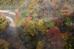 信州高山村松川の紅葉