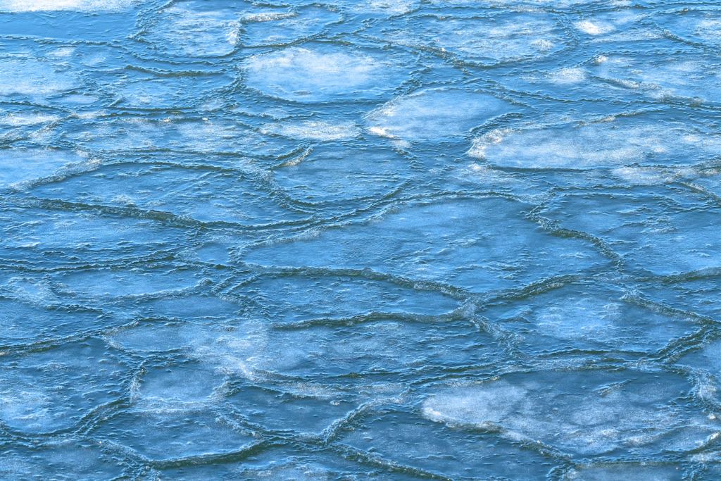 蓮葉氷