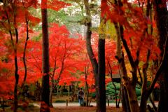 紅葉に囲まれて