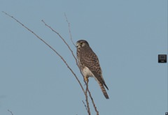 XF100-400mm 検証用 ISO800:F11