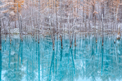 青い池雪景色