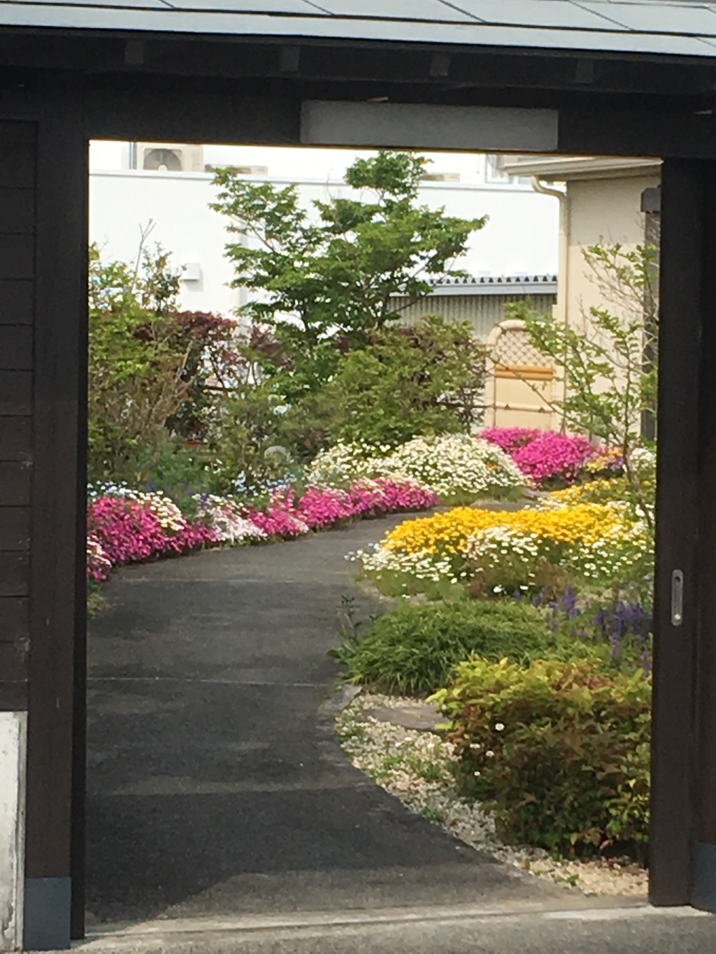 花咲くのアプローチ