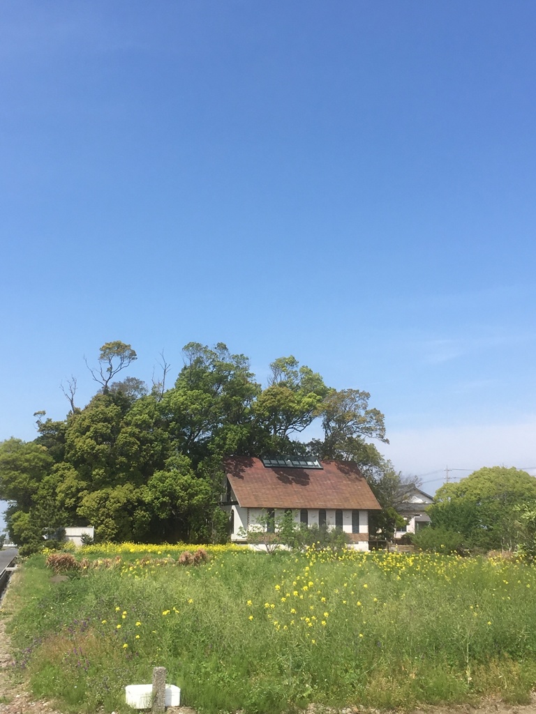 春に見つけた風景