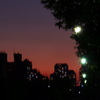 夕焼け