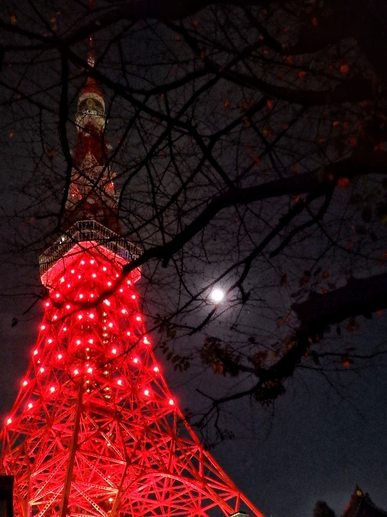 東京タワーと満月