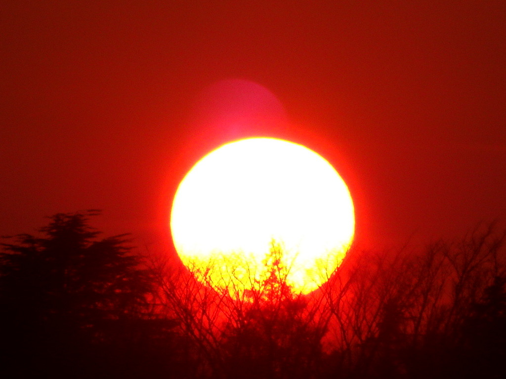 夕陽