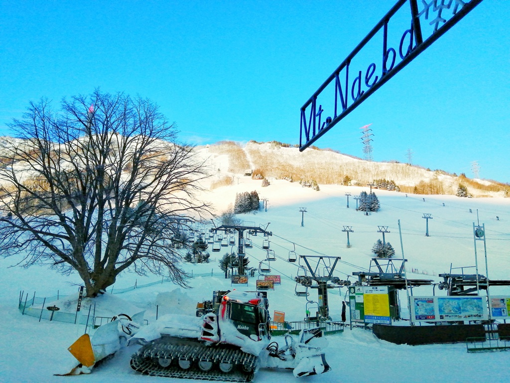 雪だより（２）