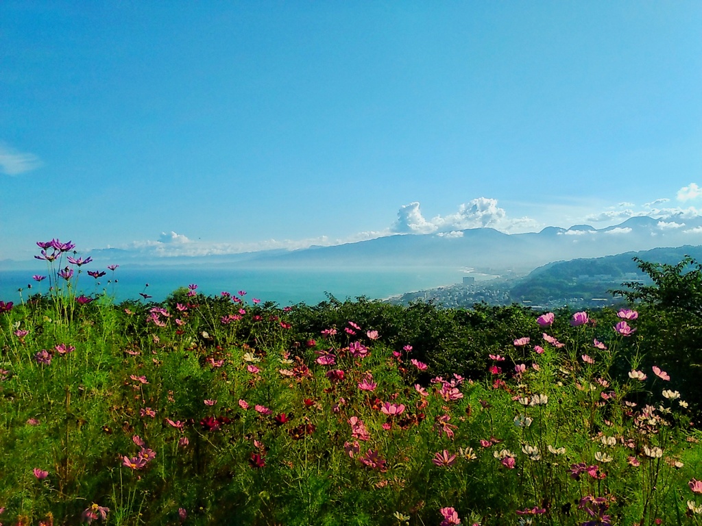 わたしの夏空(１)