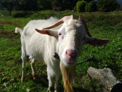 運命の出会い２