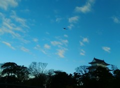 空を駆ける