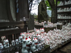 豪徳寺(３)