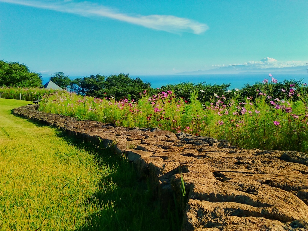わたしの夏空(２)