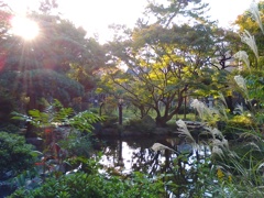 音次郎さんの庭