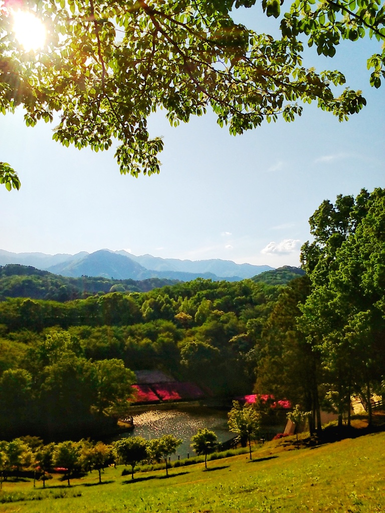 つつじヶ丘公園(１)