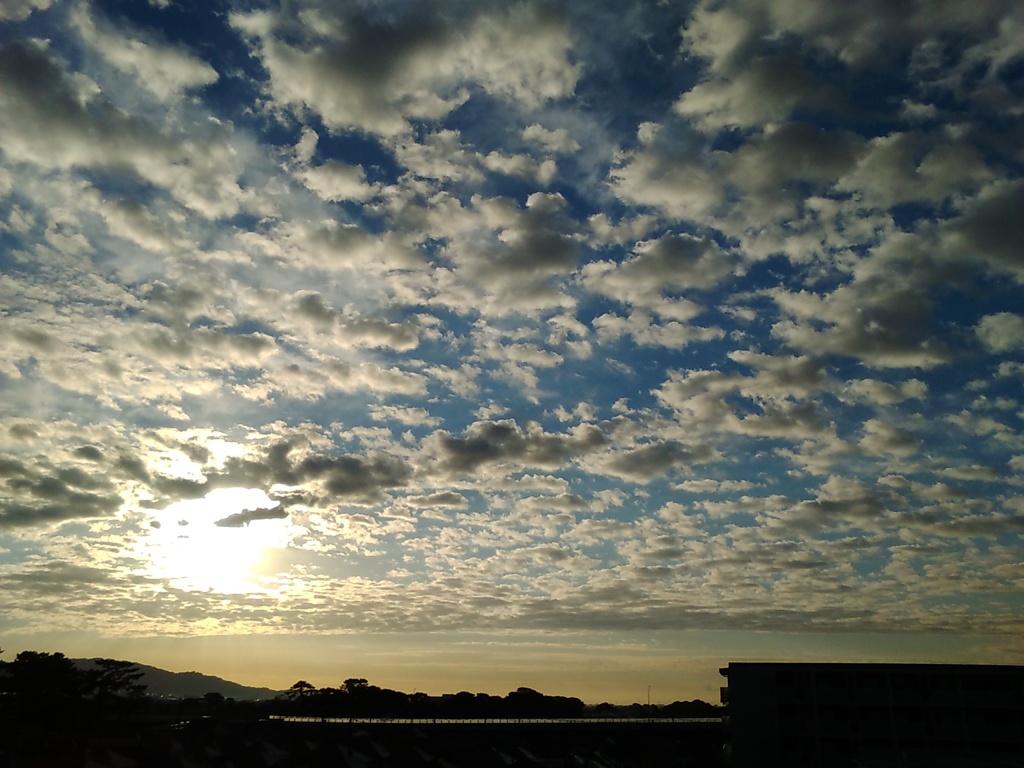 朝空♪(３)