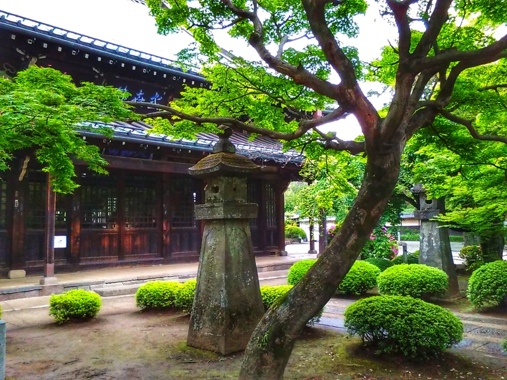 豪徳寺(１)