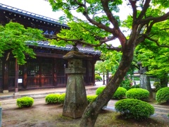 豪徳寺(１)
