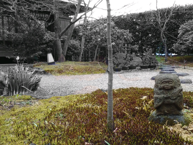 苔の庭