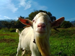 運命の出会い♪