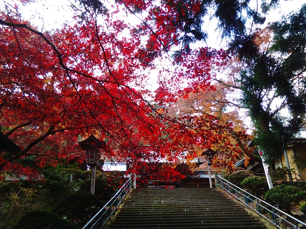 紅葉の階段