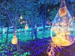 江の島-illumination（３）