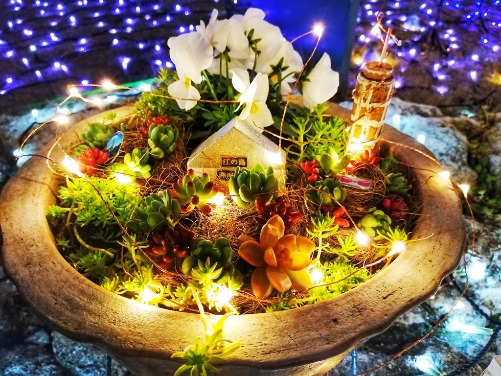 江の島-illumination（１）