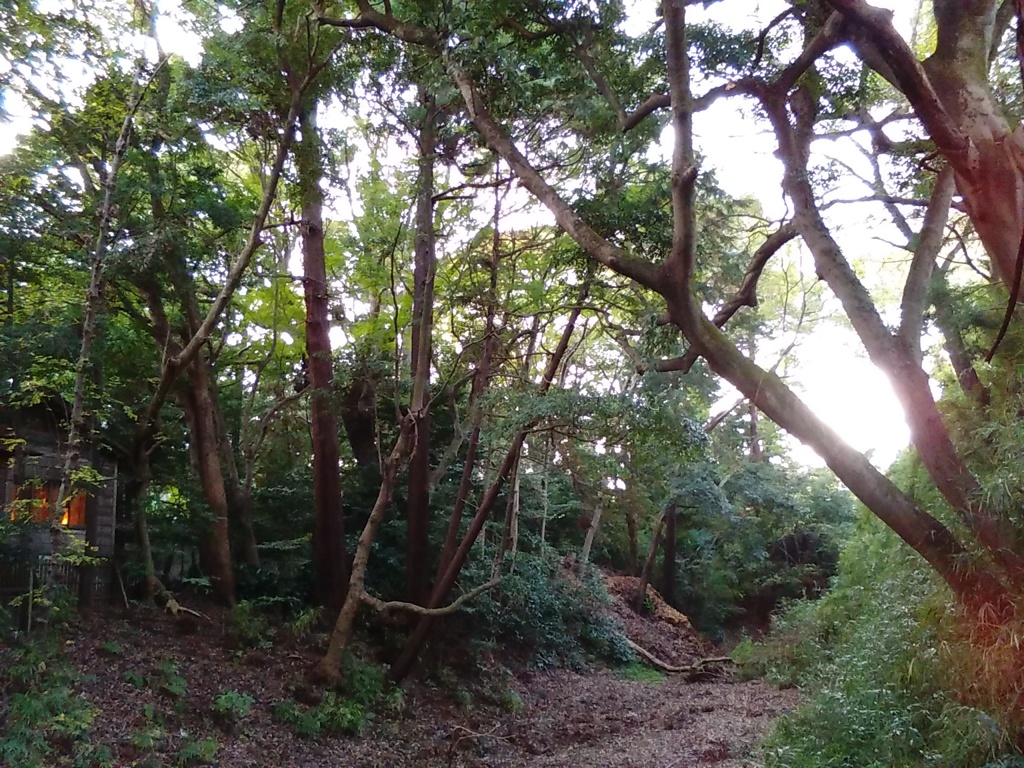 水のない堀