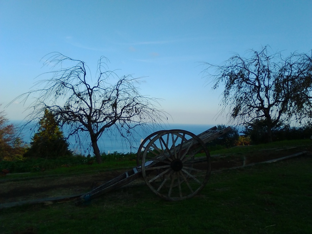 鎧塚farm