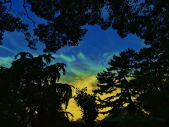 影絵の空