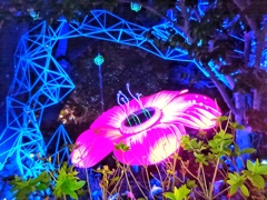 闇に咲く