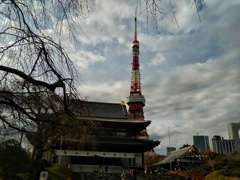 増上寺と東京タワー(２)