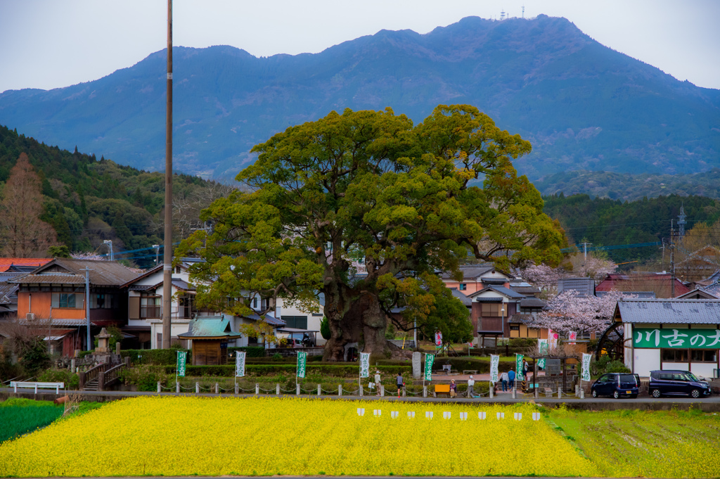 今もなお