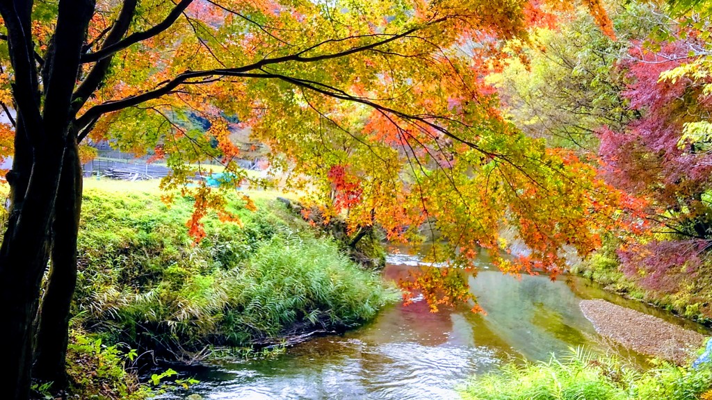 湧水地　秋の訪れ