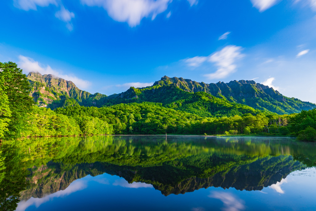 鏡池の朝