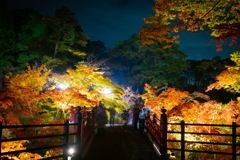 弥彦公園もみじ谷