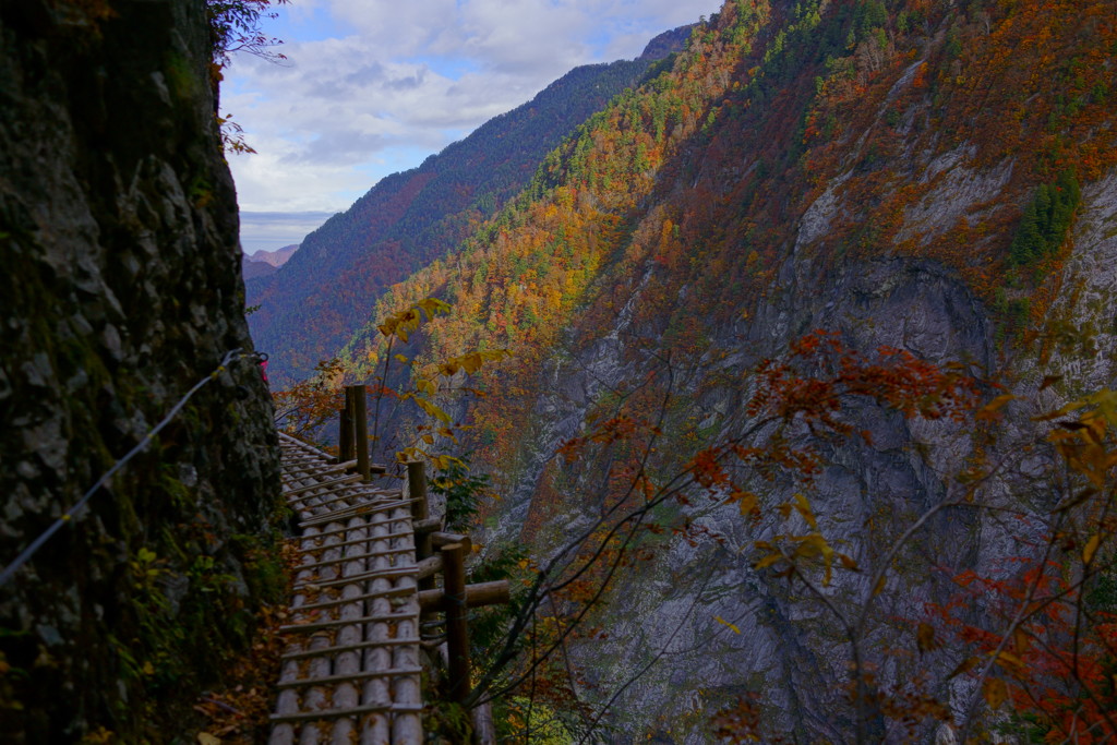 紅葉の下ノ廊下