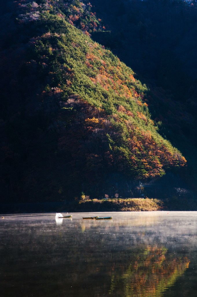 朝の陽光