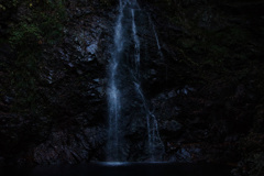 WA01