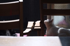 暖かな光