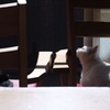 暖かな光