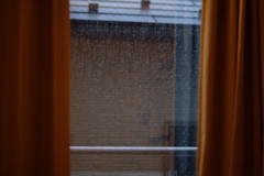 雨上がりの