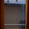 雨上がりの