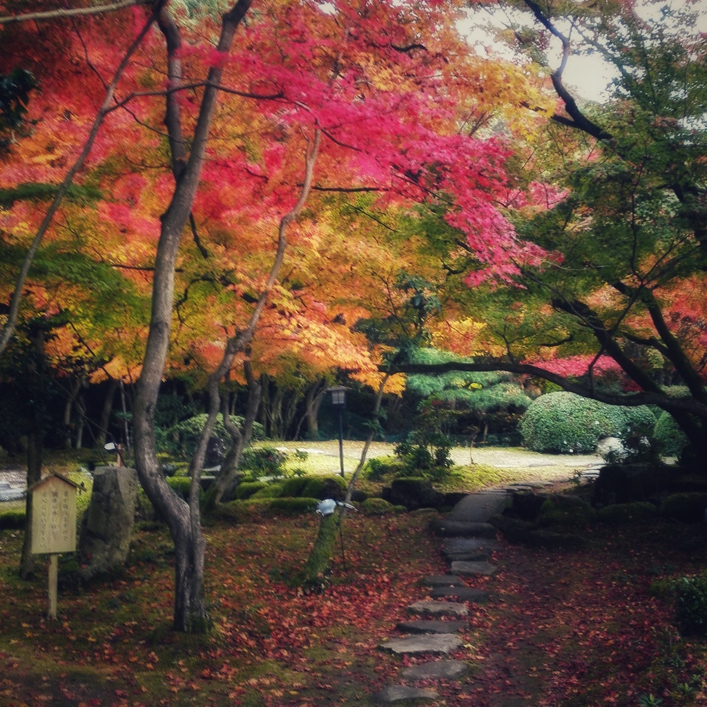 IMG_20161204_201159-011a