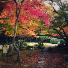 IMG_20161204_201159-011a