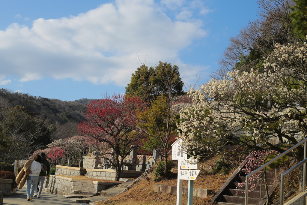 中山寺