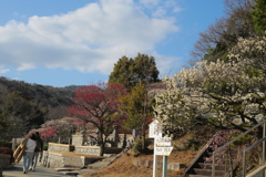 中山寺