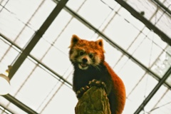 神戸どうぶつ王国