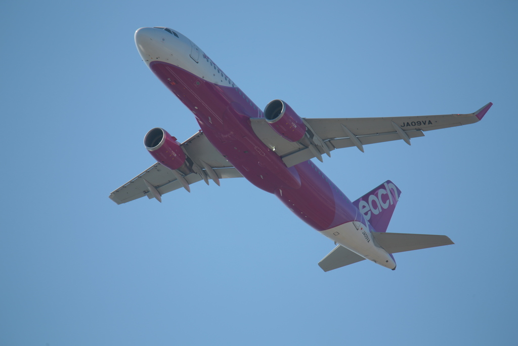 関空