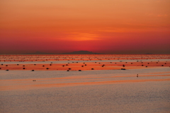 今日の林崎海岸の夕景