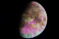 IMG_20181019_184221_edited